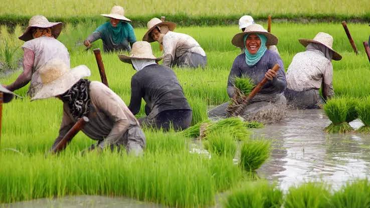 Rural community and agricultural development